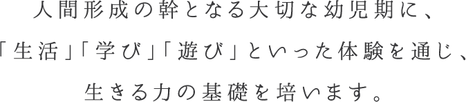 人間形成の幹となる大切な幼児期に、「生活」「学び」「遊び」といった体験を通じ、生きる力の基礎を培います。